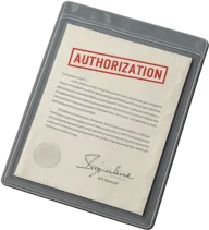 Audit Authorisation
